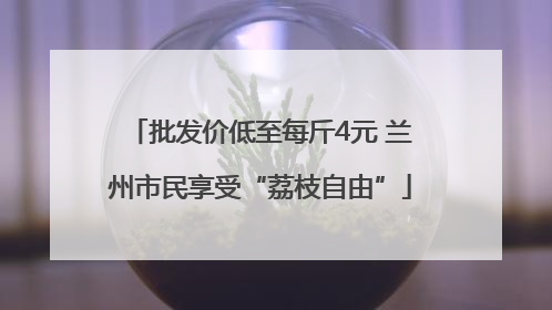 批发价低至每斤4元 兰州市民享受“荔枝自由”