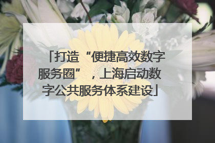 打造“便捷高效数字服务圈”，上海启动数字公共服务体系建设