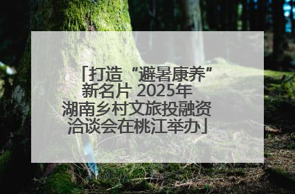 打造“避暑康养”新名片 2025年湖南乡村文旅投融资洽谈会在桃江举办