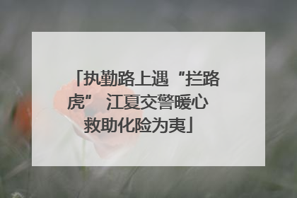 执勤路上遇“拦路虎” 江夏交警暖心救助化险为夷