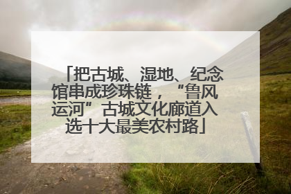 把古城、湿地、纪念馆串成珍珠链，“鲁风运河”古城文化廊道入选十大最美农村路