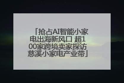 抢占AI智能小家电出海新风口 超100家跨境卖家探访慈溪小家电产业带