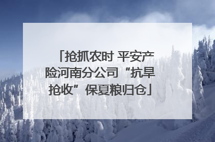 抢抓农时 平安产险河南分公司“抗旱抢收”保夏粮归仓