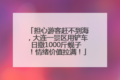 担心游客赶不到海，大连一景区用铲车日撒1000斤蚬子！情绪价值拉满！