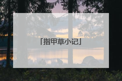 指甲草小记