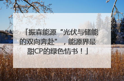 振森能源“光伏与储能的双向奔赴”，能源界最甜CP的绿色情书！