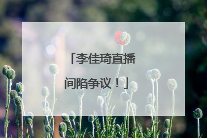 李佳琦直播间陷争议！