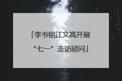 李书铭江文高开展“七一”走访慰问