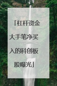 杠杆资金大手笔净买入的科创板股曝光