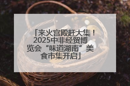 来火宫殿赶大集！2025中非经贸博览会“味道湖南”美食市集开启