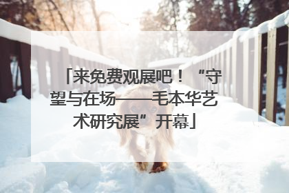 来免费观展吧！“守望与在场——毛本华艺术研究展”开幕