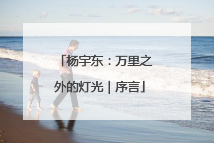 杨宇东：万里之外的灯光｜序言