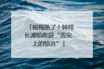 杨梅熟了！钟祥长滩镇收获“舌尖上的惊喜”