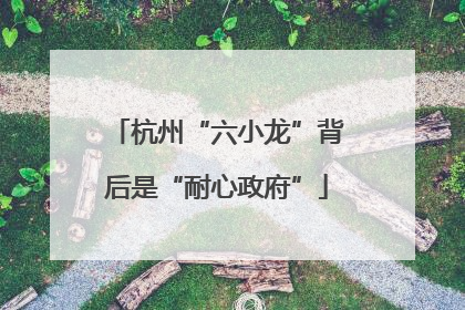 杭州“六小龙”背后是“耐心政府”