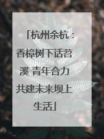 杭州余杭：香樟树下话苕溪 青年合力共建未来坝上生活