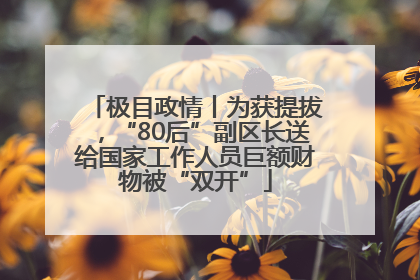 极目政情丨为获提拔，“80后”副区长送给国家工作人员巨额财物被“双开”