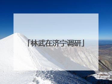 林武在济宁调研