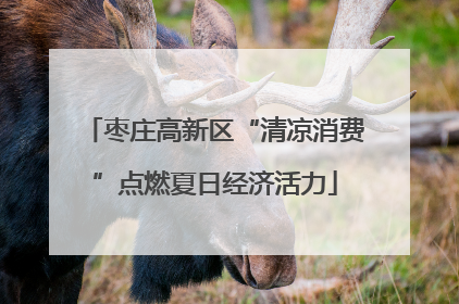 枣庄高新区“清凉消费”点燃夏日经济活力