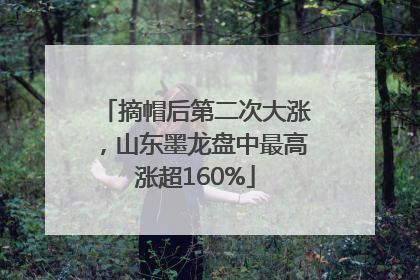 摘帽后第二次大涨，山东墨龙盘中最高涨超160%