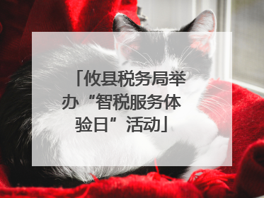 攸县税务局举办“智税服务体验日”活动