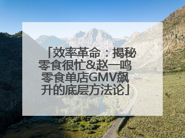 效率革命：揭秘零食很忙&赵一鸣零食单店GMV飙升的底层方法论