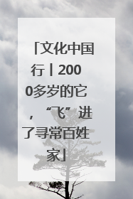 文化中国行丨2000多岁的它，“飞”进了寻常百姓家