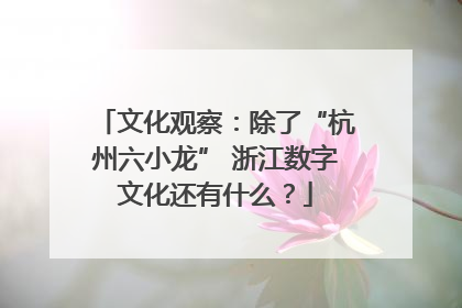 文化观察：除了“杭州六小龙” 浙江数字文化还有什么？