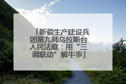 新疆生产建设兵团第九师乌拉斯台人民法庭：用“三调联动”解牛事