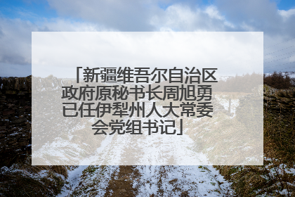 新疆维吾尔自治区政府原秘书长周旭勇已任伊犁州人大常委会党组书记