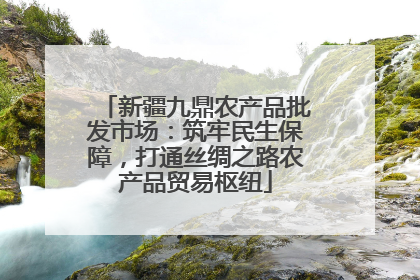 新疆九鼎农产品批发市场：筑牢民生保障，打通丝绸之路农产品贸易枢纽