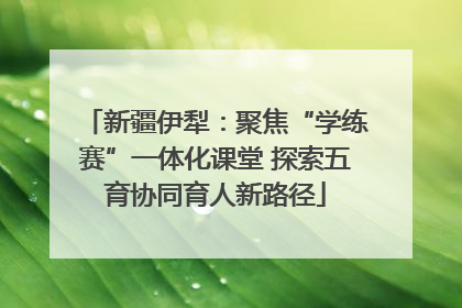 新疆伊犁：聚焦“学练赛”一体化课堂 探索五育协同育人新路径