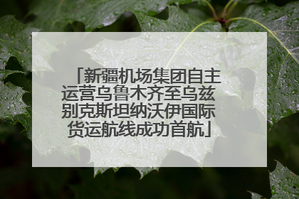 新疆机场集团自主运营乌鲁木齐至乌兹别克斯坦纳沃伊国际货运航线成功首航
