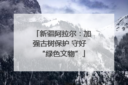新疆阿拉尔：加强古树保护 守好“绿色文物”