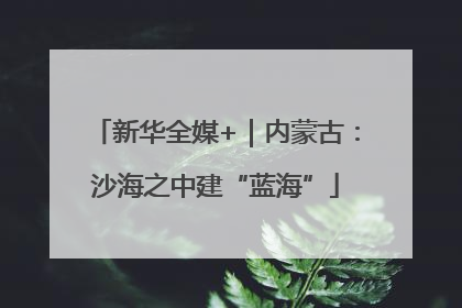 新华全媒+｜内蒙古：沙海之中建“蓝海”