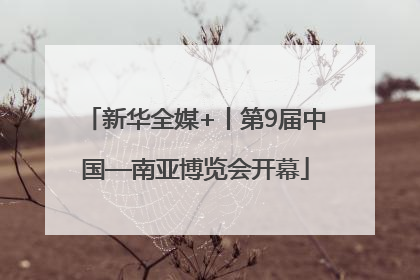 新华全媒+丨第9届中国—南亚博览会开幕