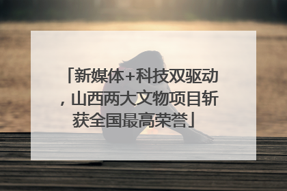 新媒体+科技双驱动，山西两大文物项目斩获全国最高荣誉