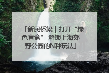新民侨梁｜打开“绿色盲盒” 解锁上海郊野公园的N种玩法