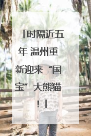 时隔近五年 温州重新迎来“国宝”大熊猫！