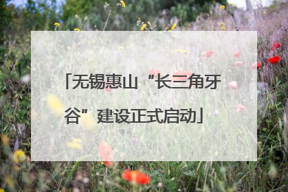 无锡惠山“长三角牙谷”建设正式启动