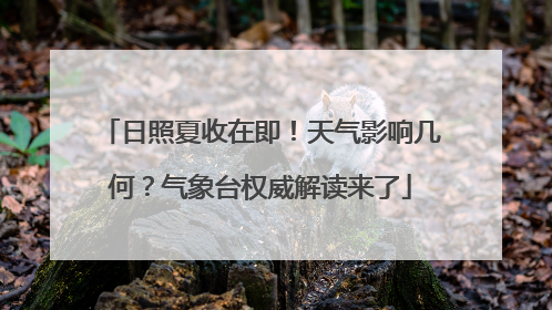 日照夏收在即！天气影响几何？气象台权威解读来了