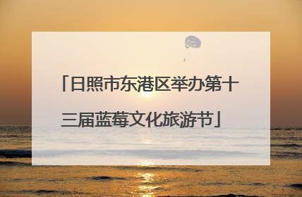 日照市东港区举办第十三届蓝莓文化旅游节