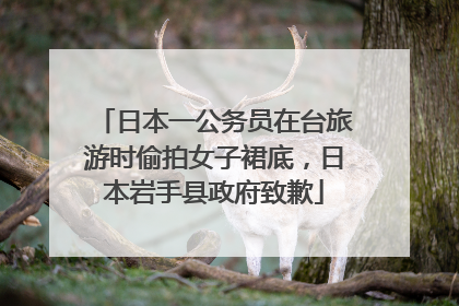 日本一公务员在台旅游时偷拍女子裙底，日本岩手县政府致歉
