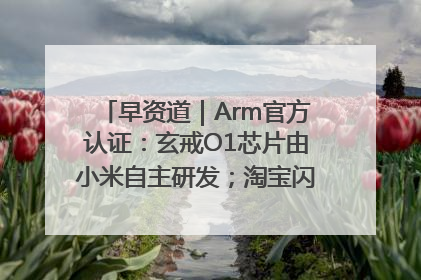 早资道｜Arm官方认证：玄戒O1芯片由小米自主研发；淘宝闪购联合饿了么日订单超4000万