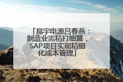 昆宇电源吕春燕：制造业需精打细算，SAP项目实现精细化成本管理