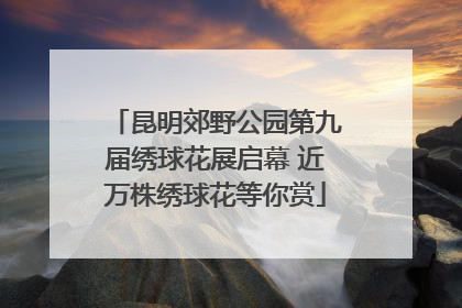 昆明郊野公园第九届绣球花展启幕 近万株绣球花等你赏