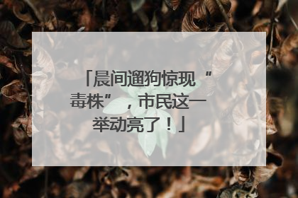 晨间遛狗惊现“毒株”，市民这一举动亮了！