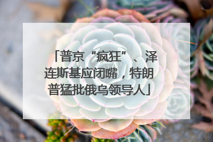 普京“疯狂”、泽连斯基应闭嘴，特朗普猛批俄乌领导人