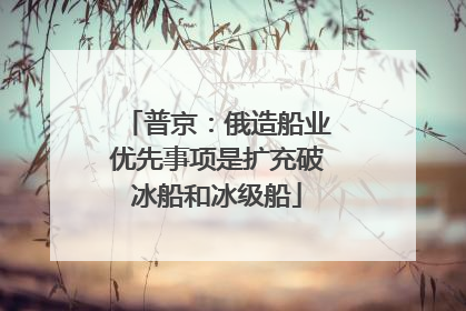 普京：俄造船业优先事项是扩充破冰船和冰级船