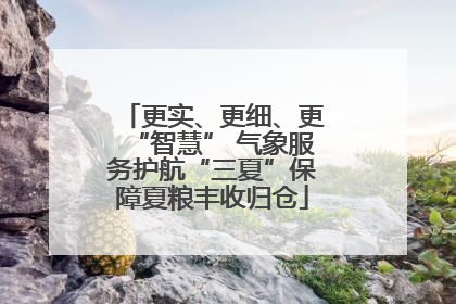更实、更细、更“智慧” 气象服务护航“三夏”保障夏粮丰收归仓