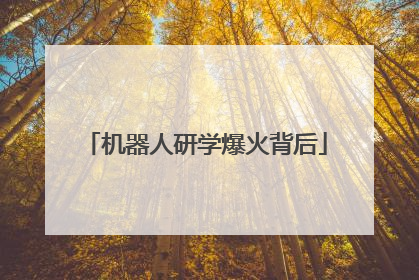 机器人研学爆火背后